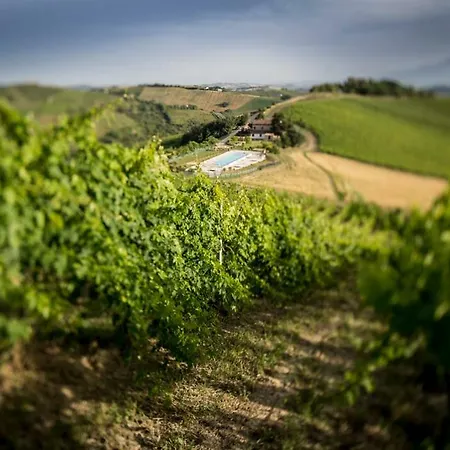 Casali Costadoro * Acquaviva Picena