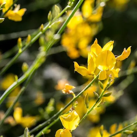 Casali Costadoro Lejlighedshotel